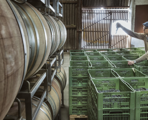 Gebrüder Nittnaus GmbH