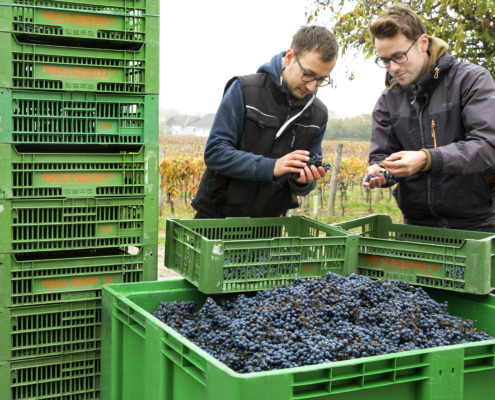 Gebrüder Nittnaus GmbH