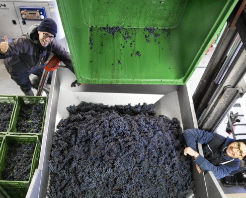 Gebrüder Nittnaus GmbH