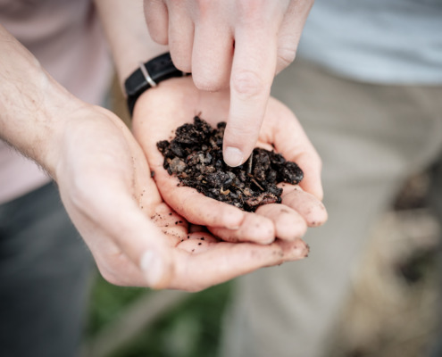 (c) Miriam Mehlman Fotografie